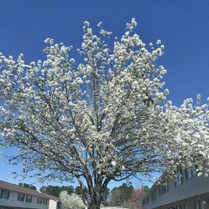 Meet your Posher, Lucinda